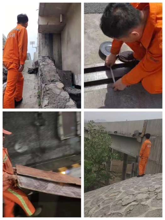 卢瑶1