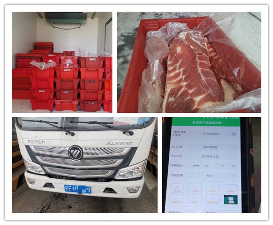 微信图片_20220521082256_副本