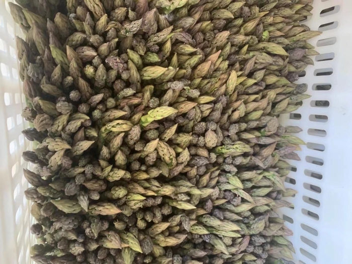 微信图片_20220519091451 微信图片_20220519091451